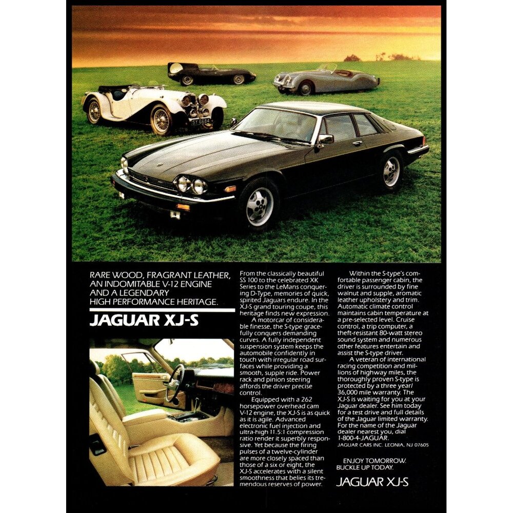 1987 Jaguar XJ-S 2 Door Coupe Vintage Print Ad XK D Series in Field Wall Art